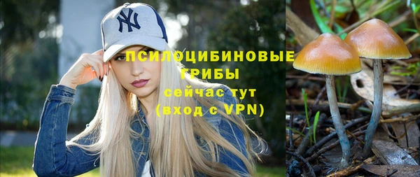 мескалин Абаза